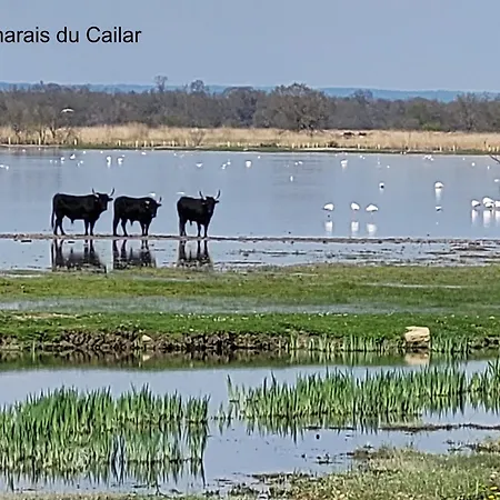Maison De Village Du Xvii Siecle En Camargue Вилла